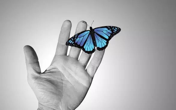 你知道什么是“共有商标”吗？