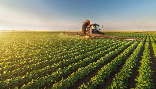 培育农产品商标，助力精准扶贫