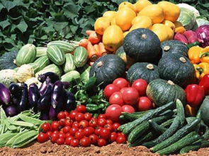 培育农产品商标，助力精准扶贫