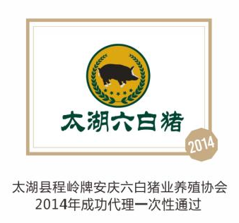 太湖六白猪