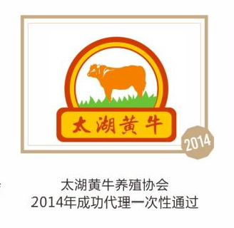 太湖黄牛