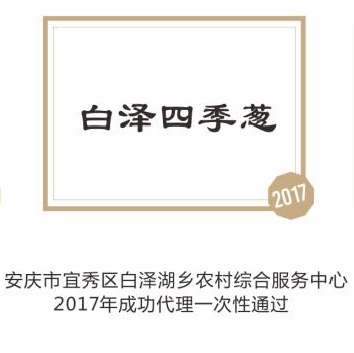 白泽四季葱