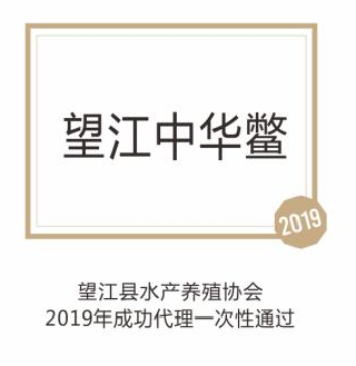 望江中华鳖
