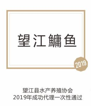 望江鱅鱼