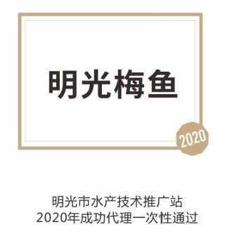 明光梅鱼